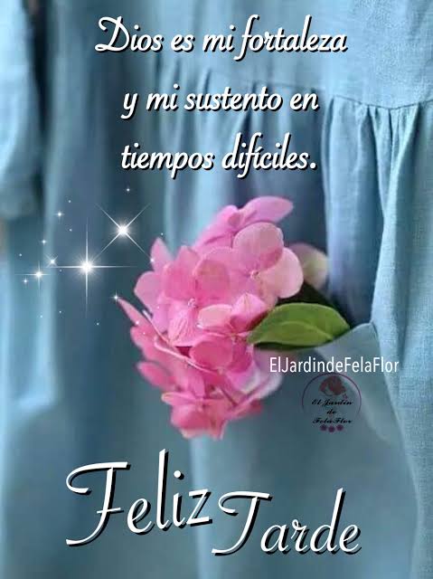 feliz tarde bendiciones