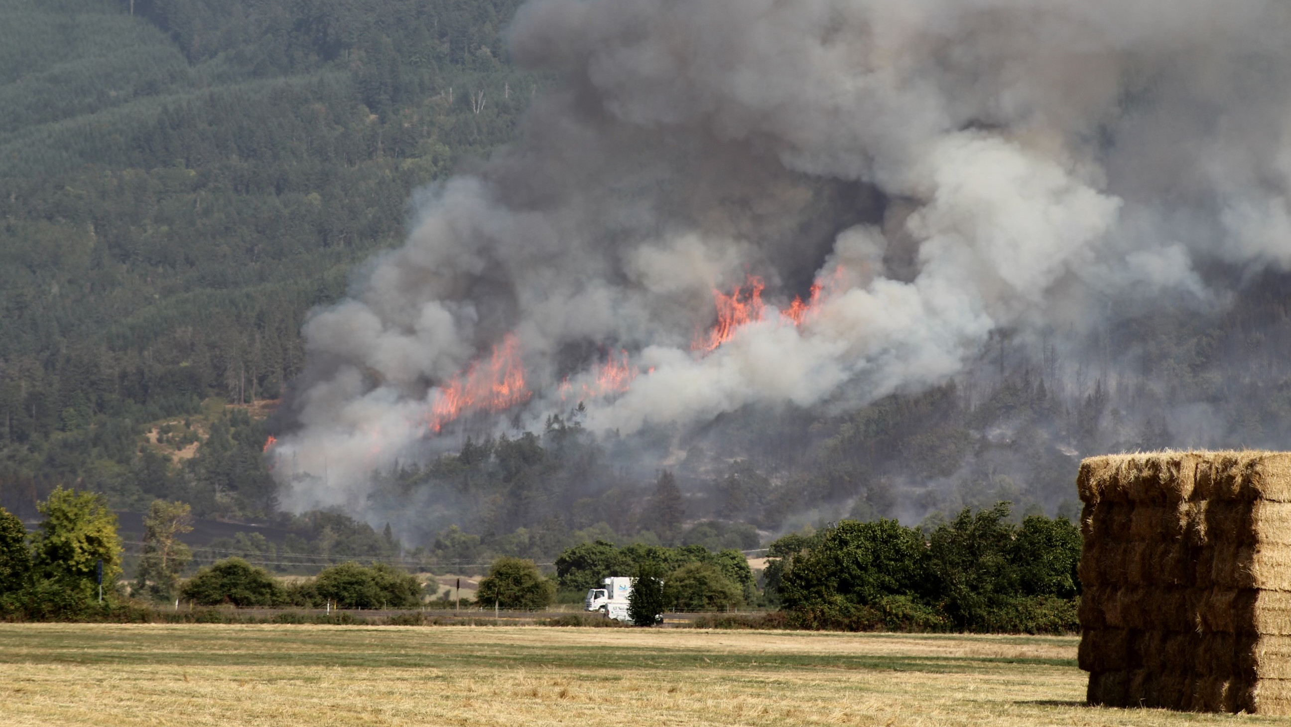 fire in harrisburg oregon today