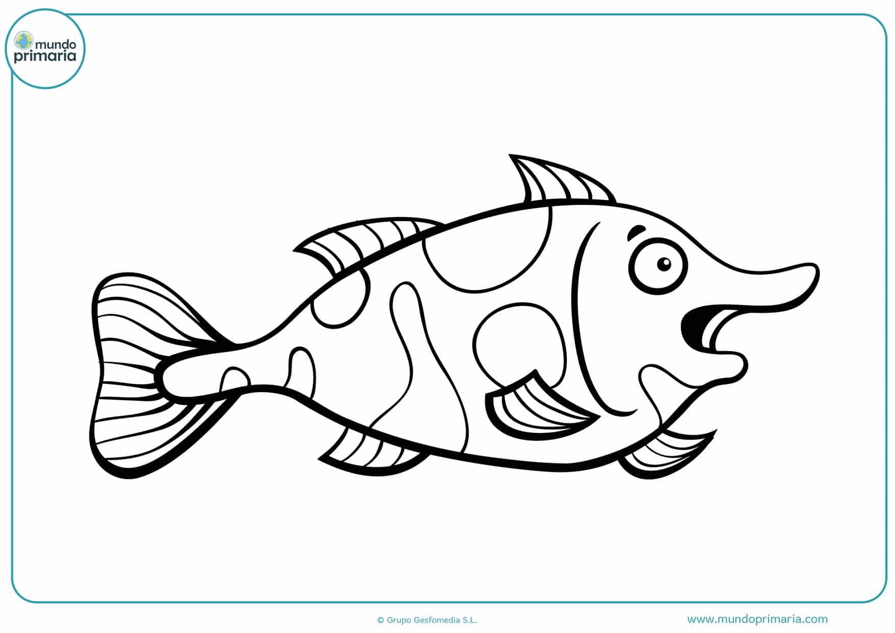 fish dibujo para colorear