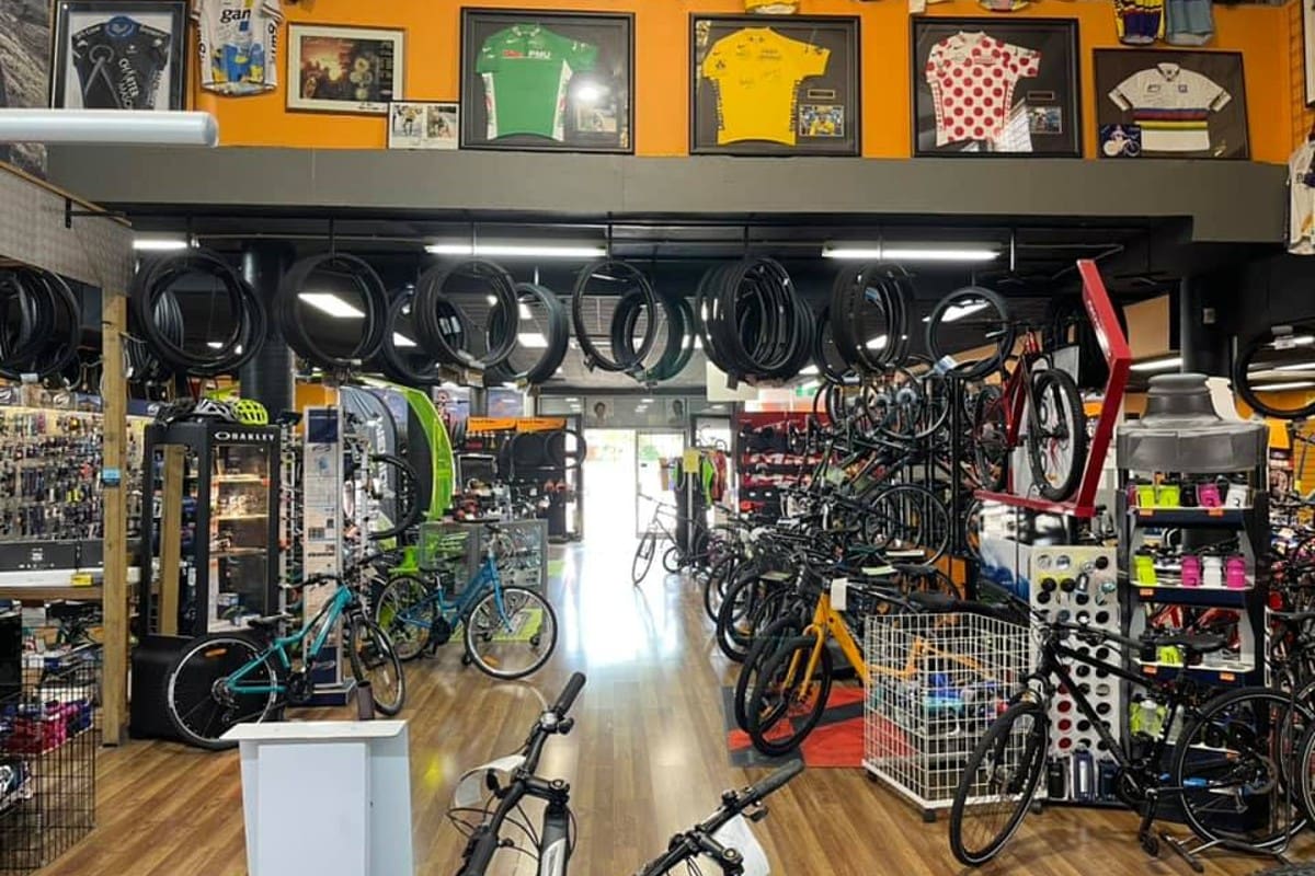 fitzroy cycles