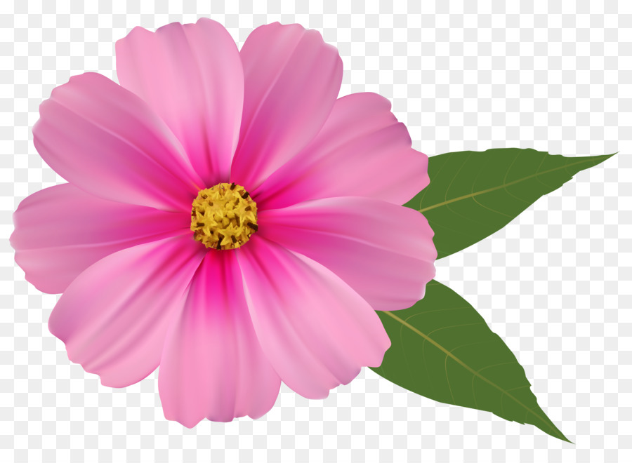 flower pink clip art