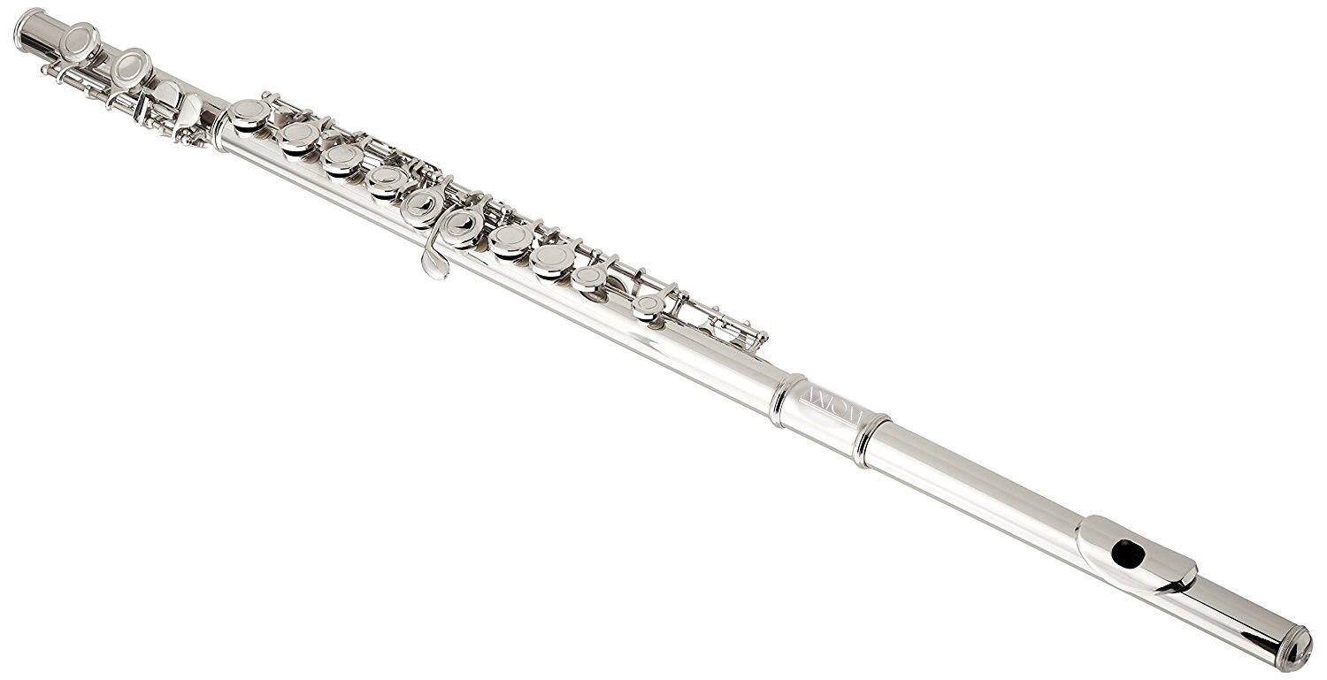 flute price for beginners