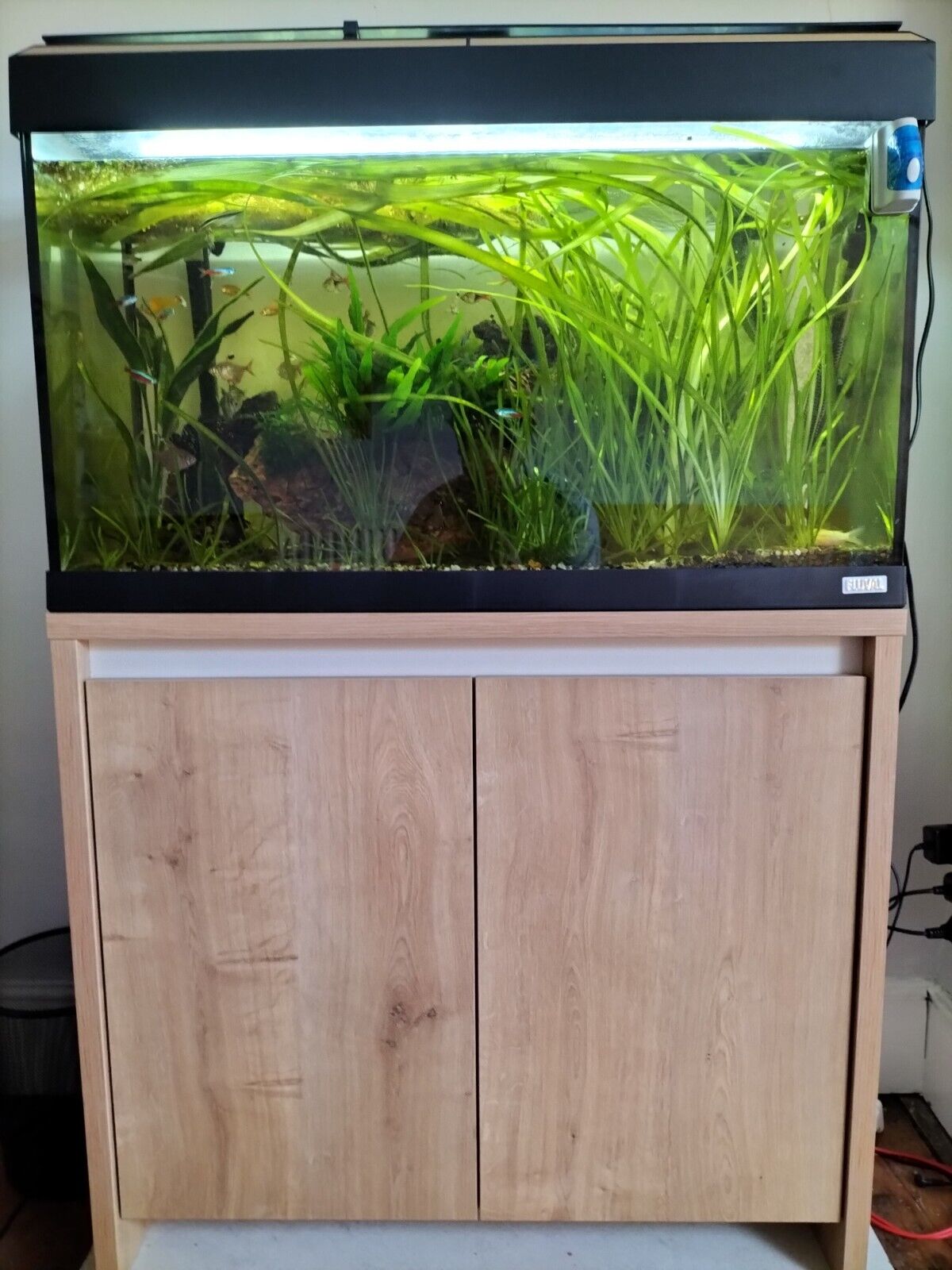 fluval 125l tank