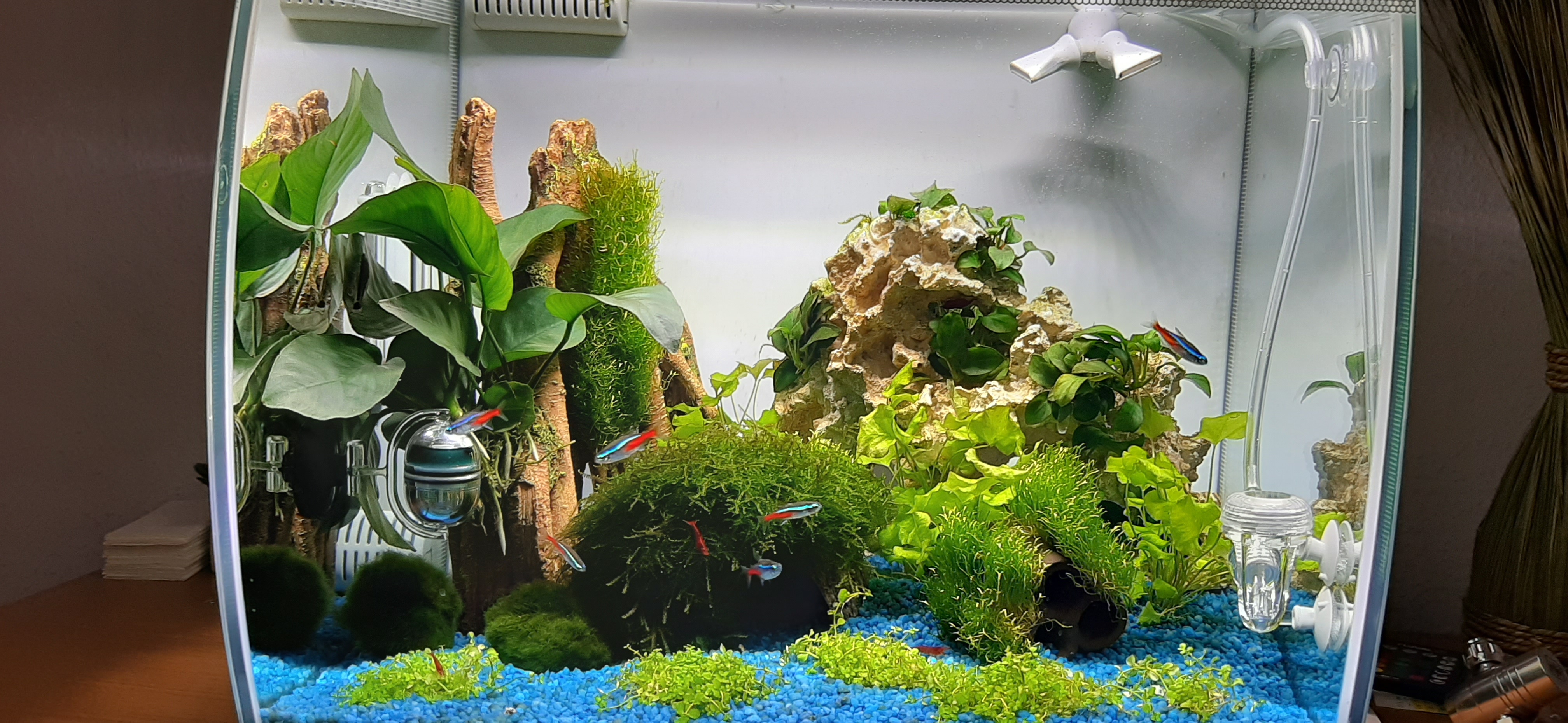 fluval flex 57l erfahrungen