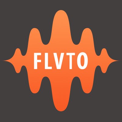 flvto biz