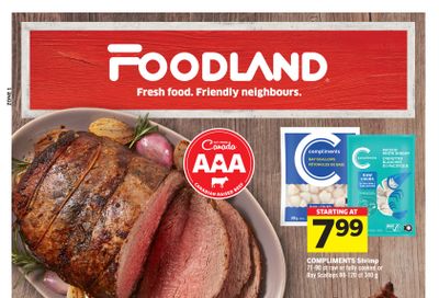 foodland flyer ontario canada