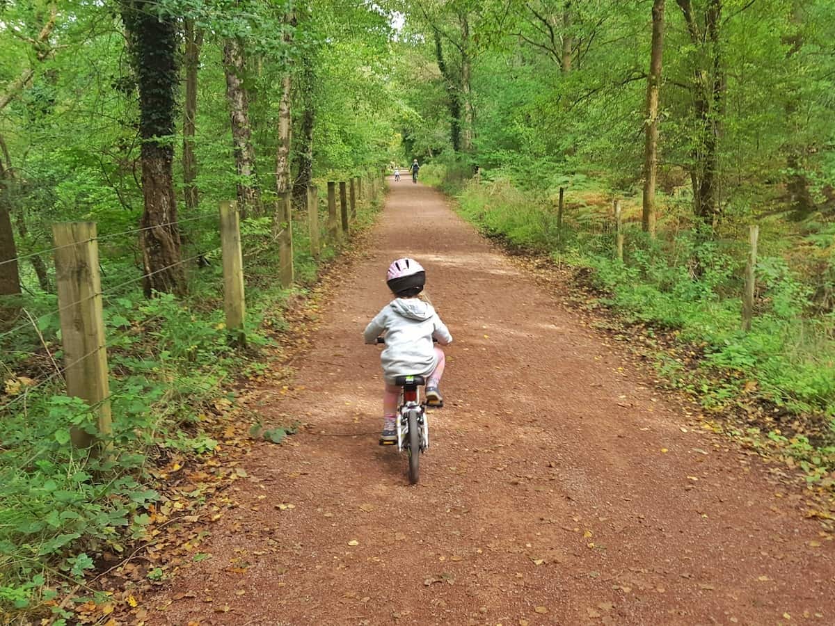 forest of dean cycling family trail