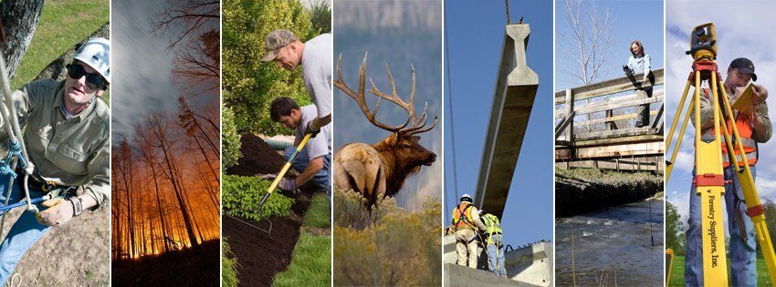 forestry suppliers