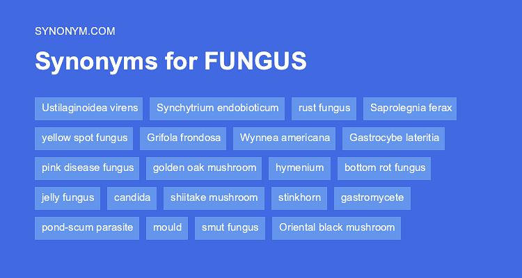 fungus antonyms