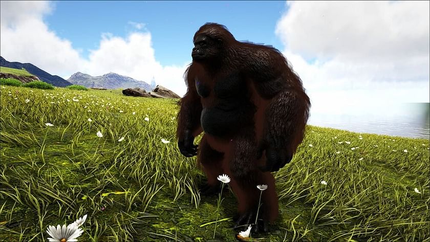 gigantopithecus taming food