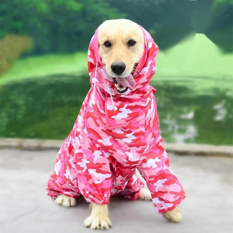 golden retriever raincoat