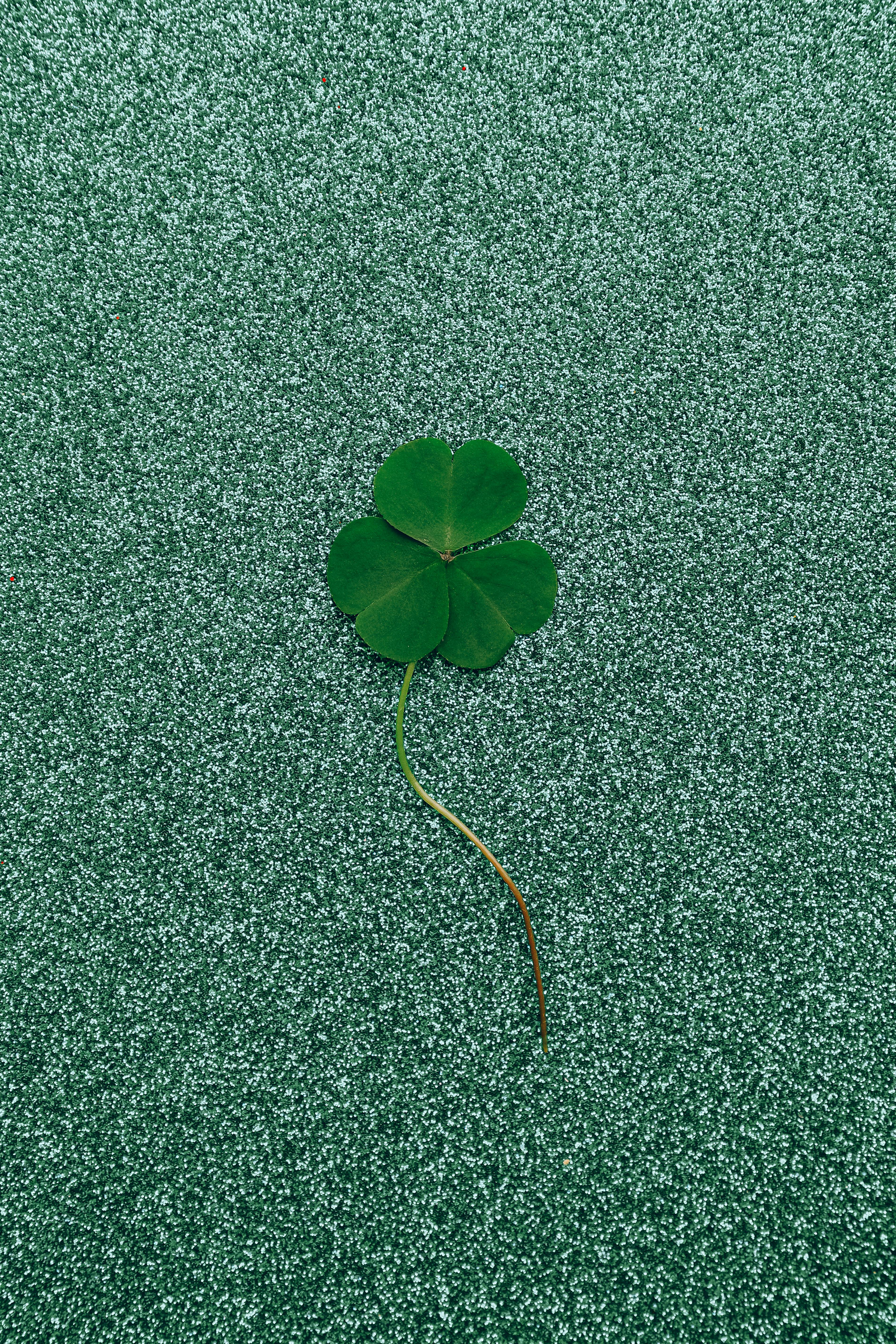 good luck wallpaper hd