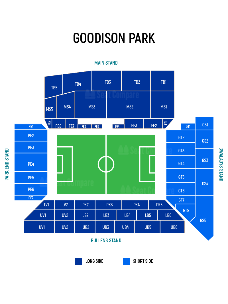 goodison seat view