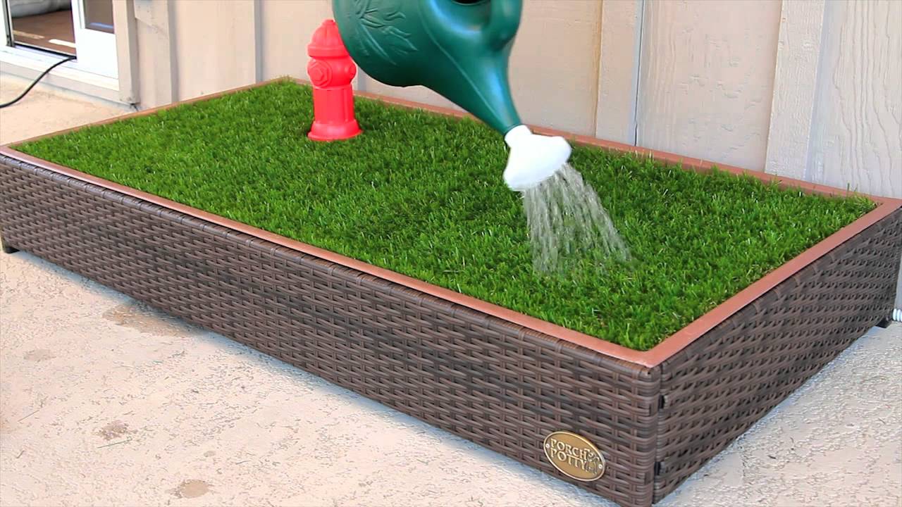 grass for dogs balcony