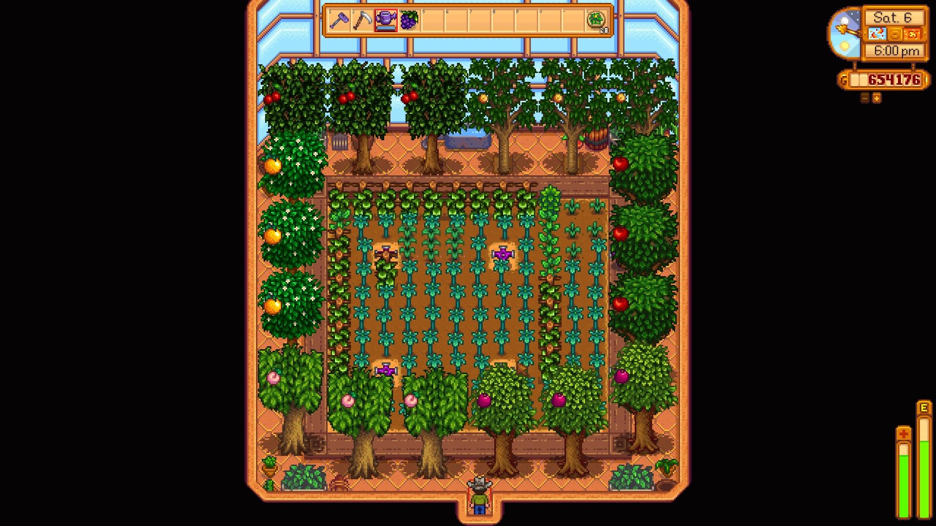 greenhouse layout stardew
