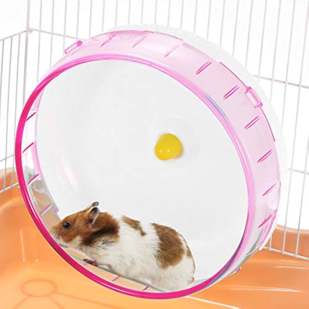 guinea pigs wheel