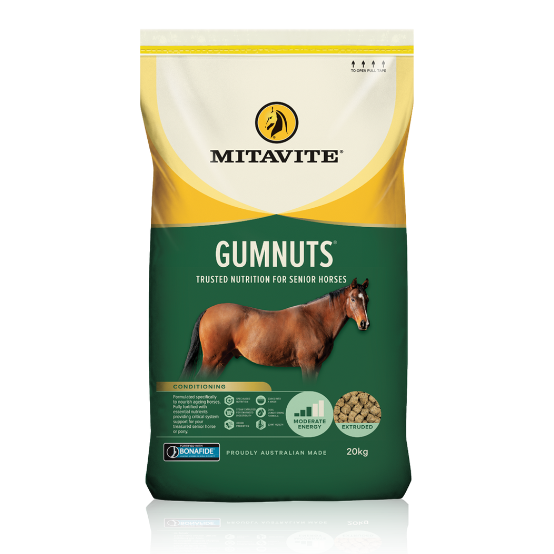 gumnuts horse riding