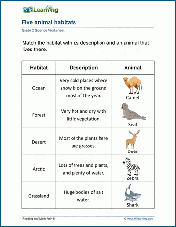 habitat animals worksheet