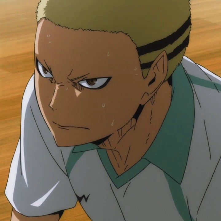 haikyuu mad dog