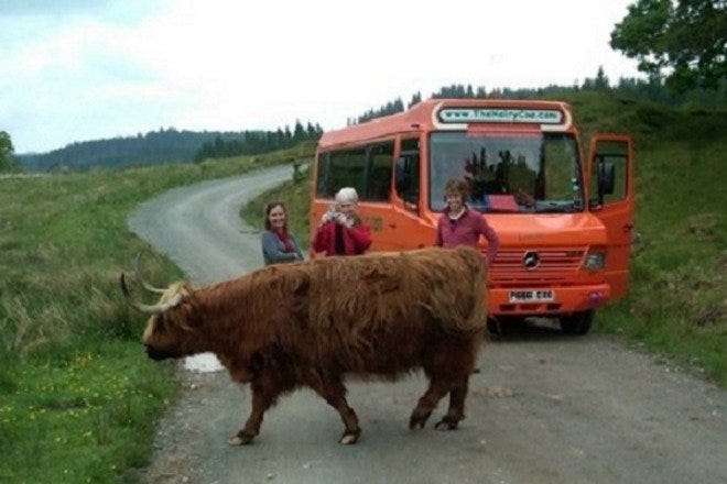 hairy coo tour scotland