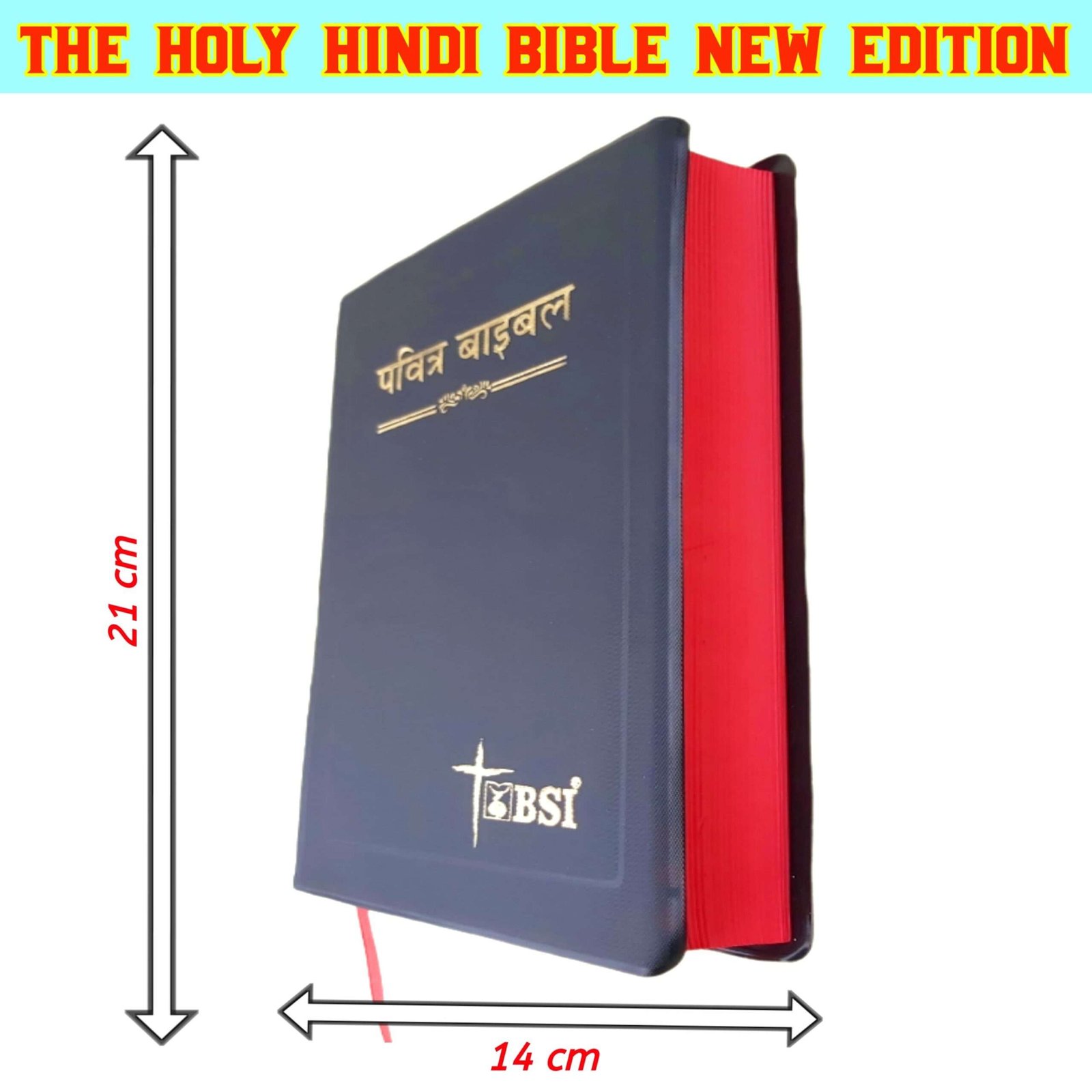 hindi bible online