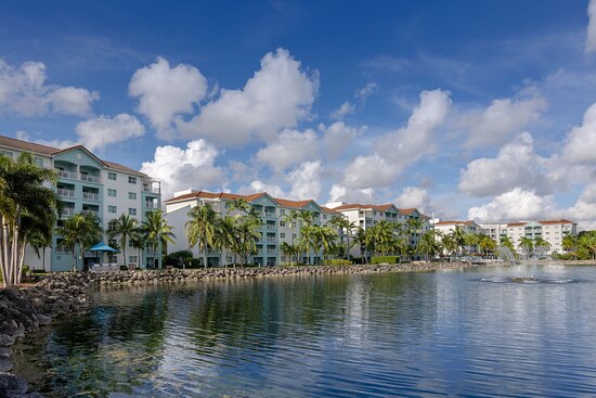 hotel marriott miami doral