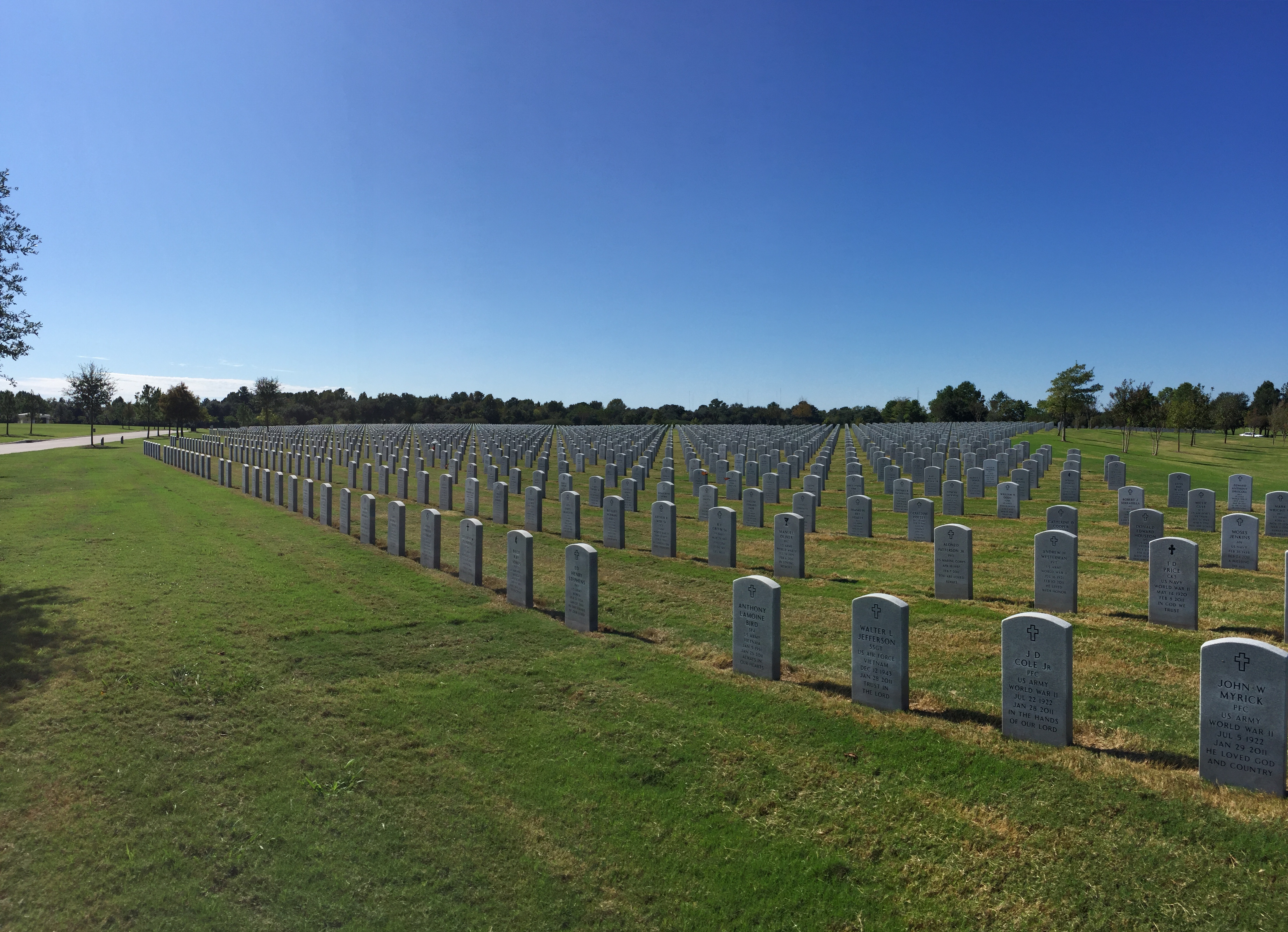 houston national cemetery find a grave