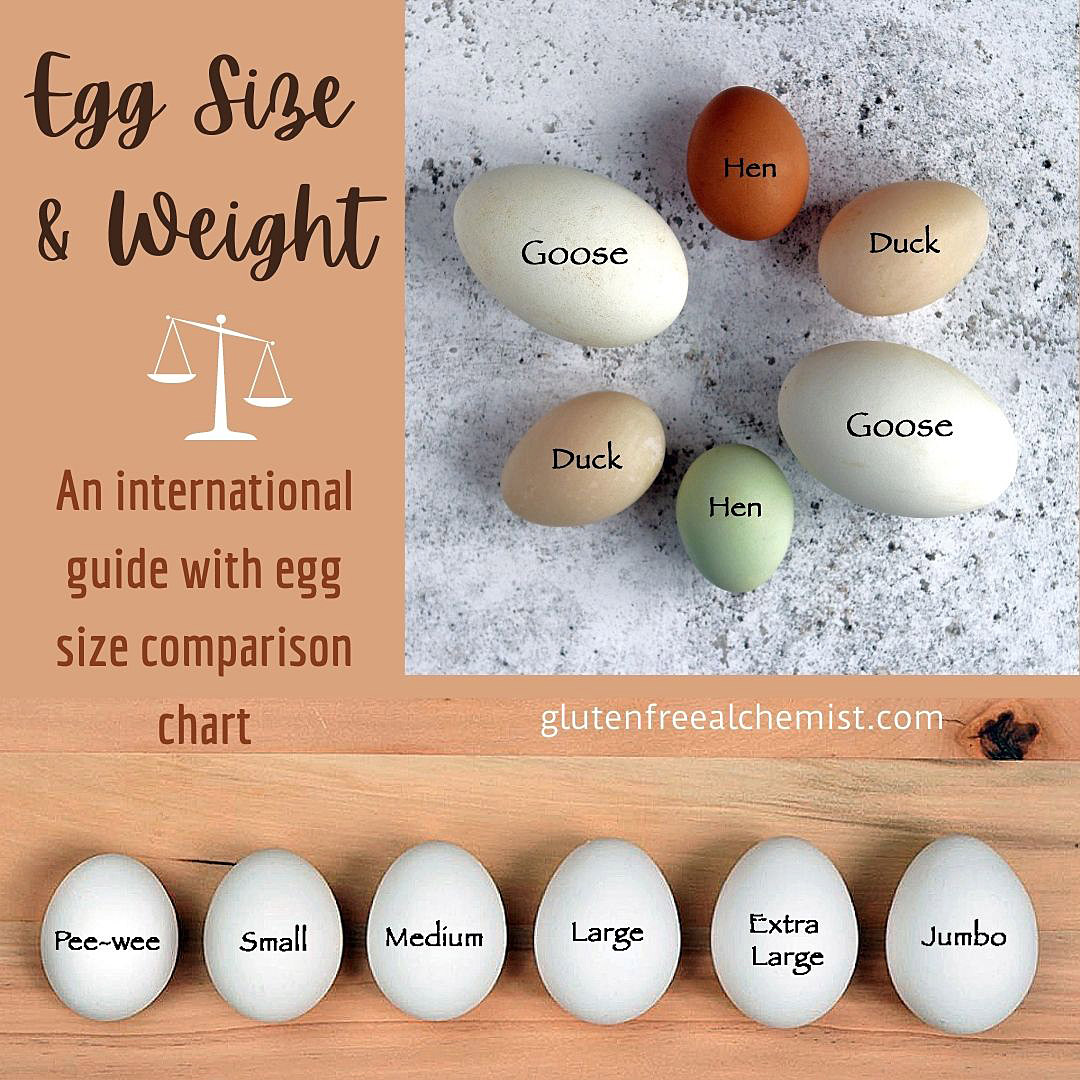 how many large eggs equal an extra large egg