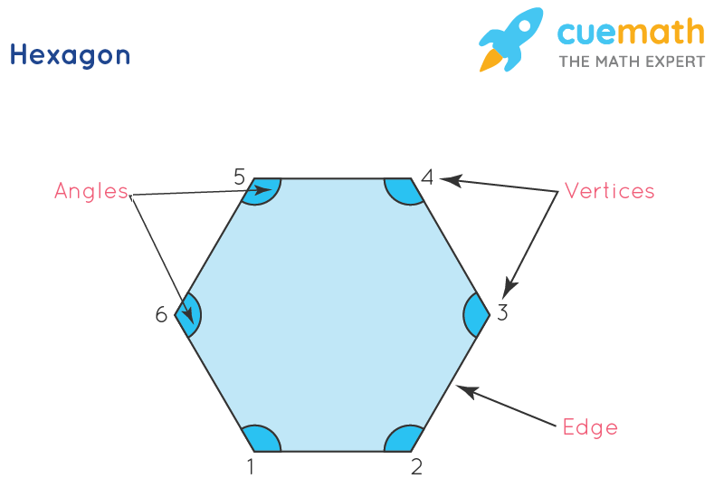 how many vertices has a hexagon