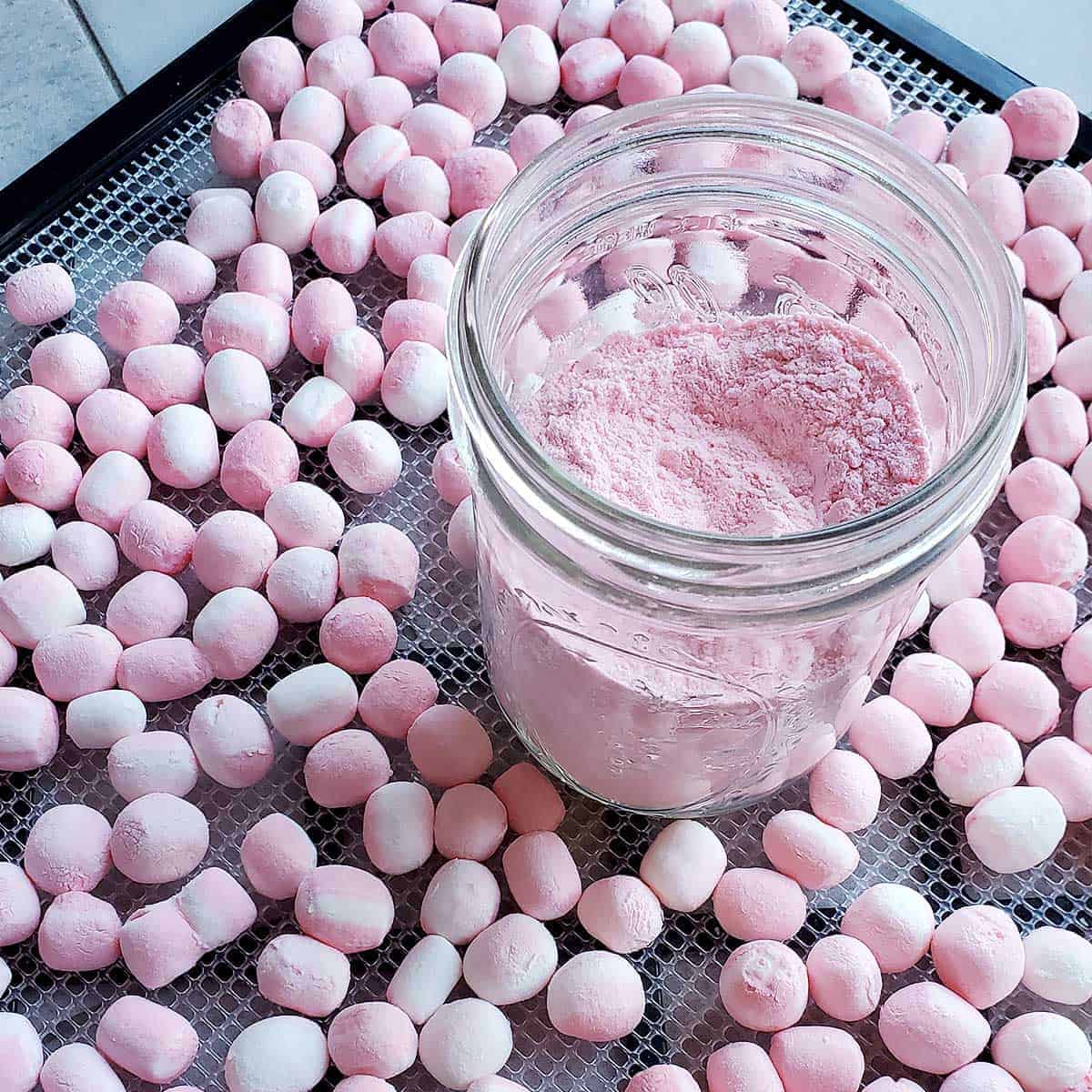 how to dehydrate marshmallows