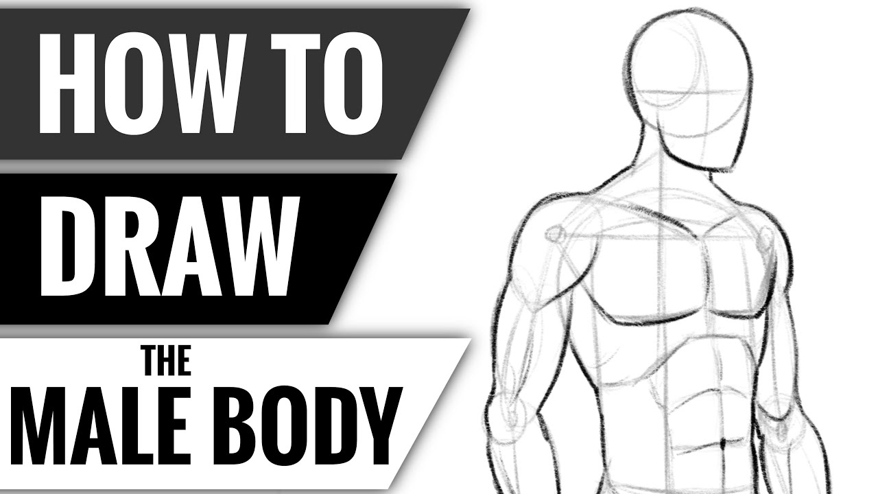 how to draw masculine body