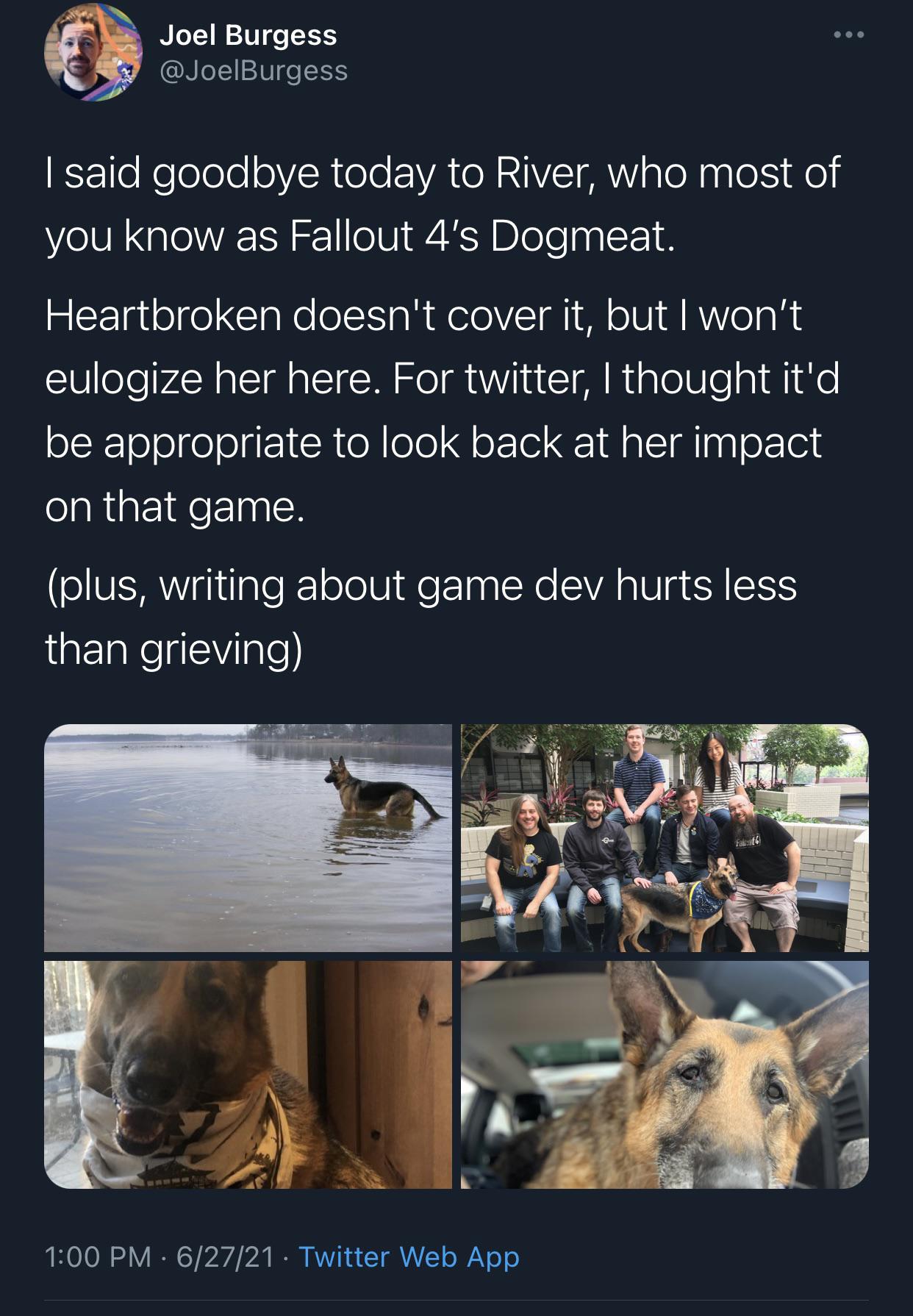 how to heal dogmeat fallout 4