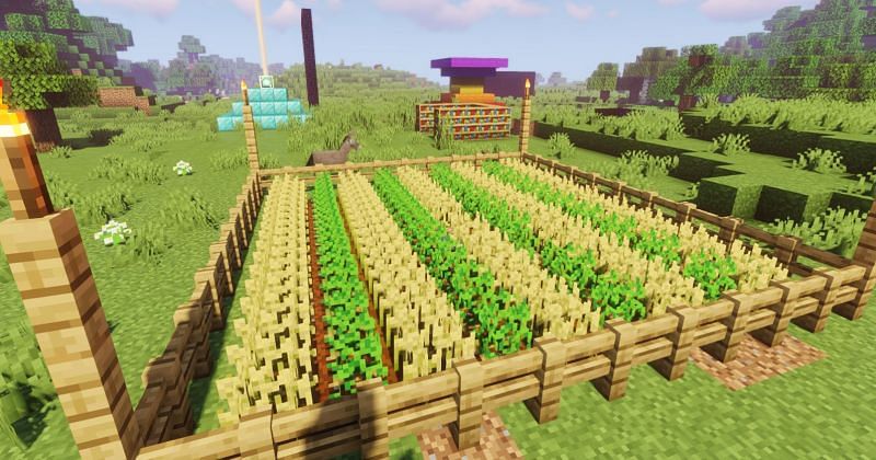 how to make a farm in minecraft