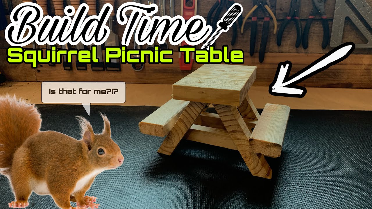how to make a squirrel picnic table