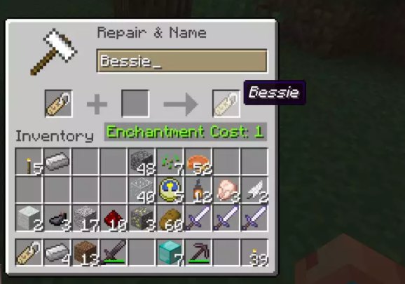 how to name a animal in minecraft