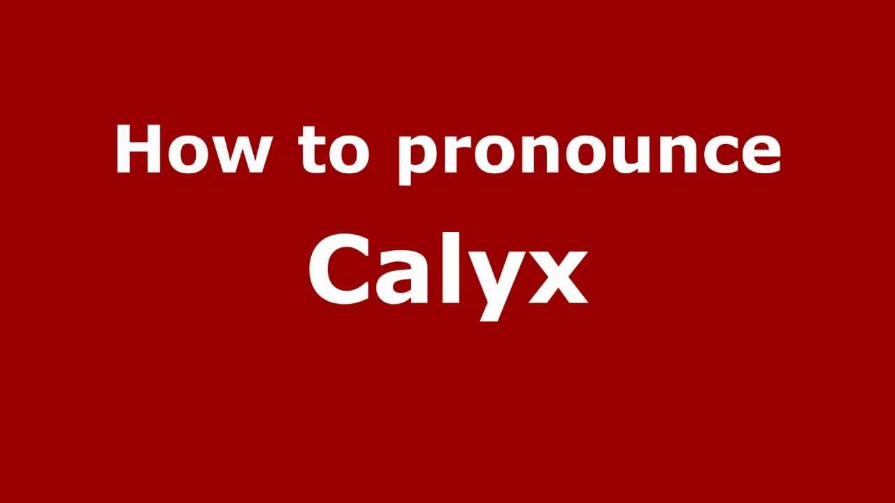 how to pronounce calyx