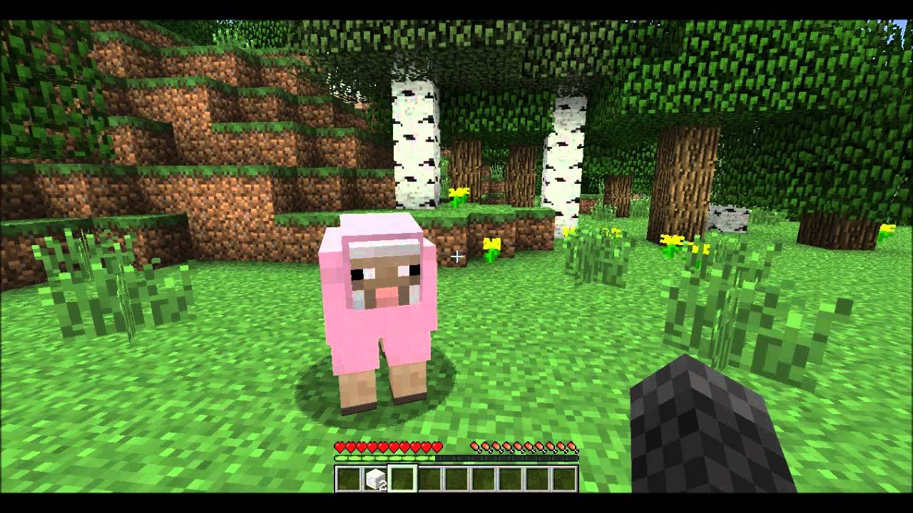 how to tame sheep in minecraft