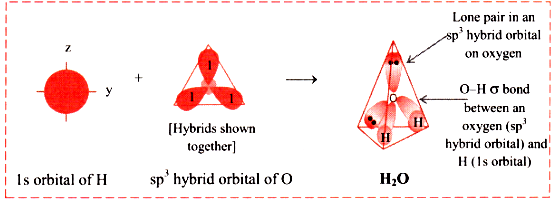 hybridization in h2o