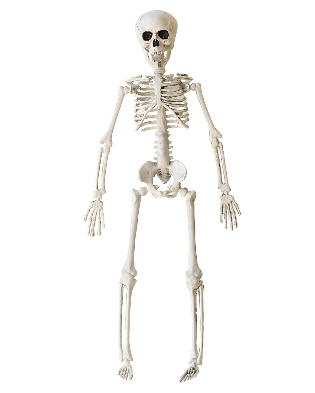 images of halloween skeletons