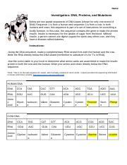 investigation dna proteins and mutations worksheet