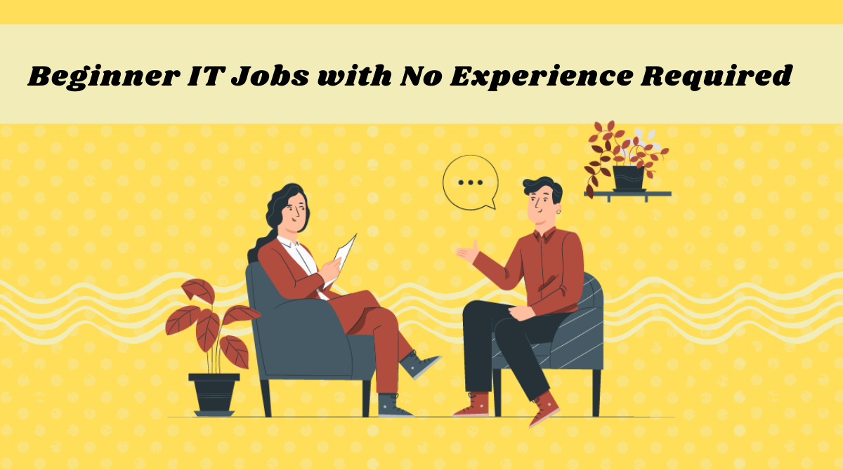 it jobs no experience