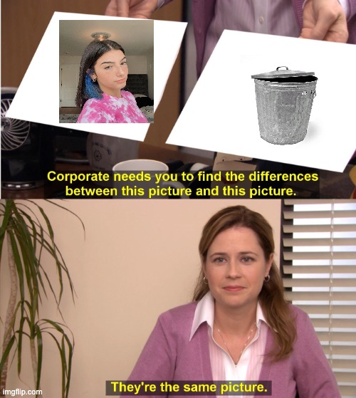 its the same picture meme