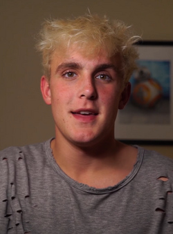 jake paul wikipedia