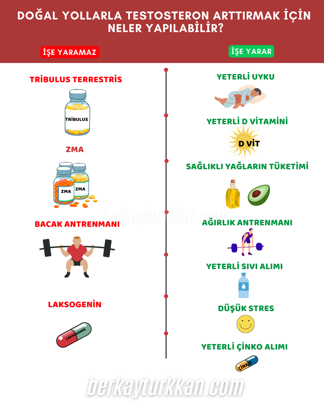 kadınlarda testosteron ne işe yarar