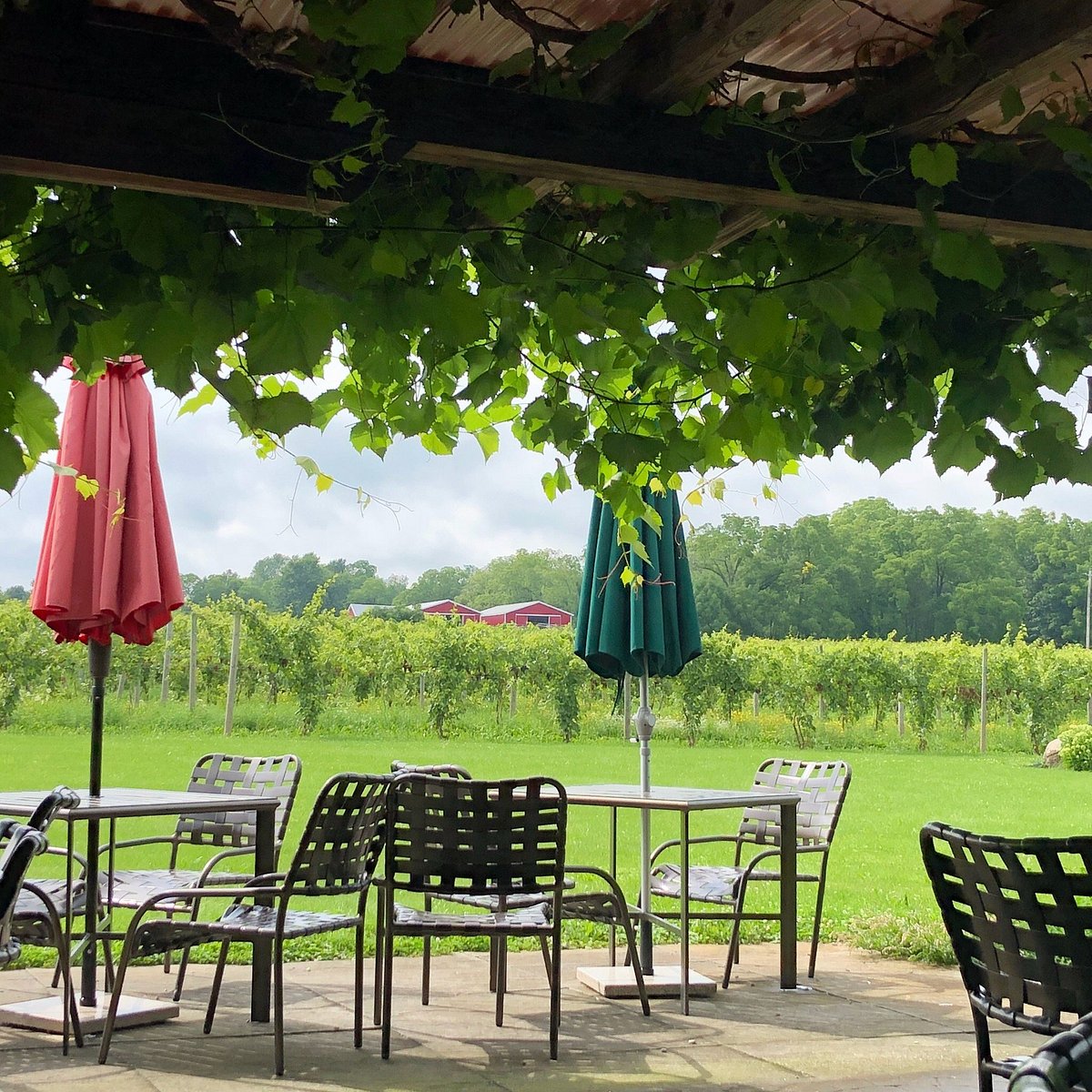 knapp winery reviews