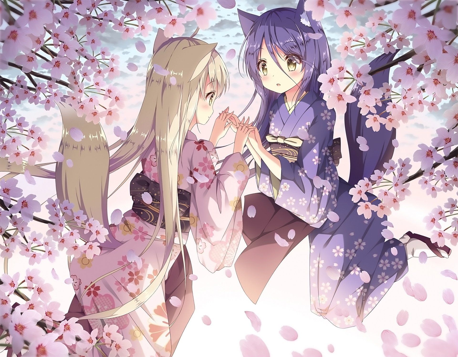 konohana kitan yuri