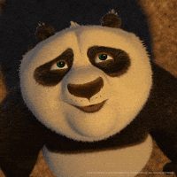 kung fu panda gif