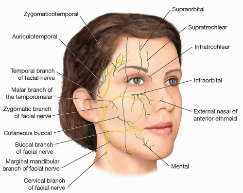 laceration of the face icd 10
