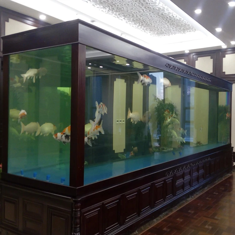 large fish tank for sale