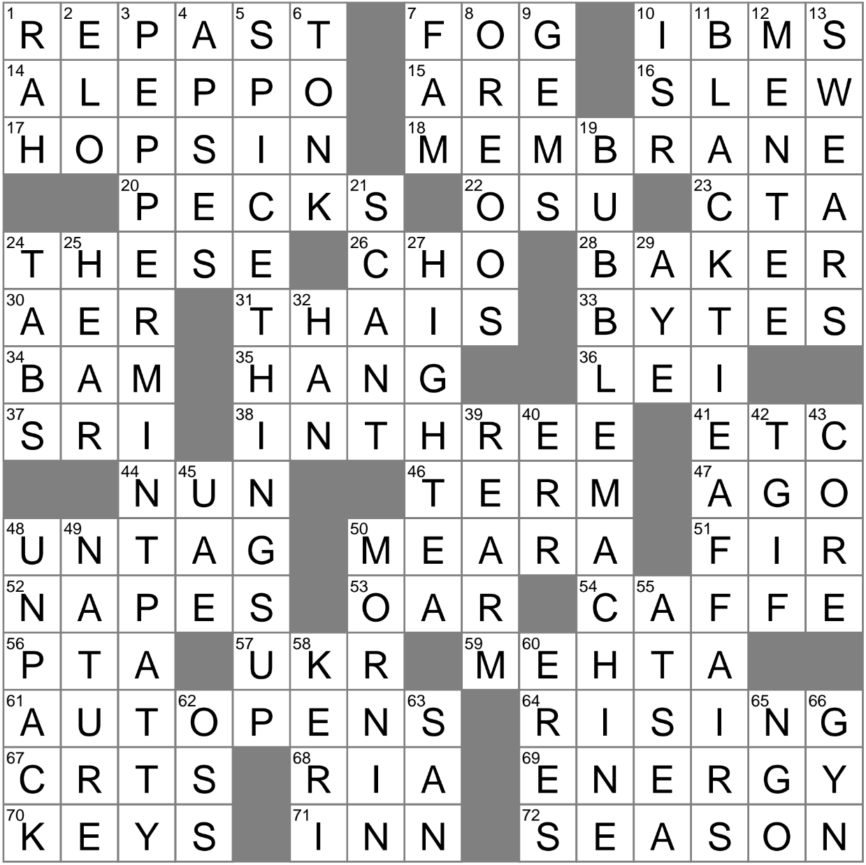 largest city in michigan crossword clue